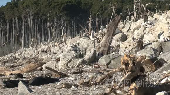 新西兰的岩石海滩视频