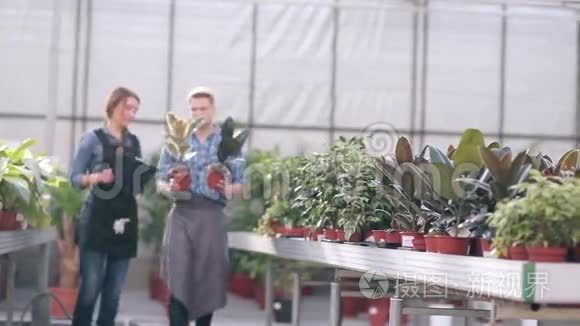 经理和花商在温室里交谈视频