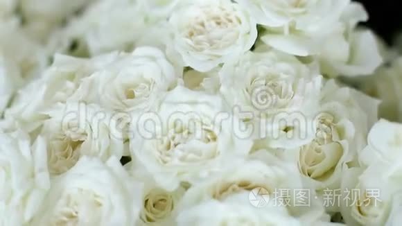 很多白玫瑰放在花盆里