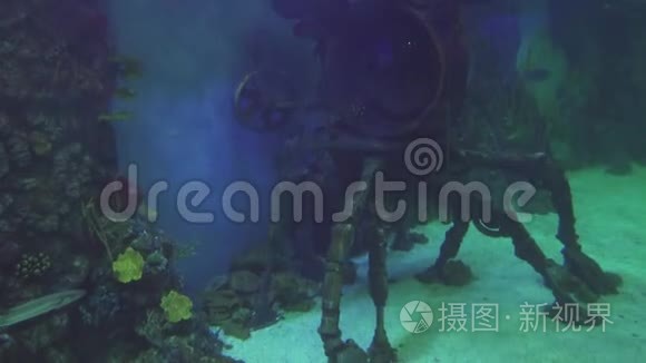 海洋水族馆装饰用水下浴帽