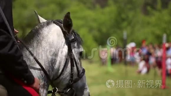 骑手唐哥萨克骑着剑视频