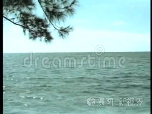 惊涛骇浪来到海滨视频