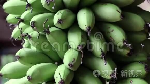 一串绿色香蕉视频
