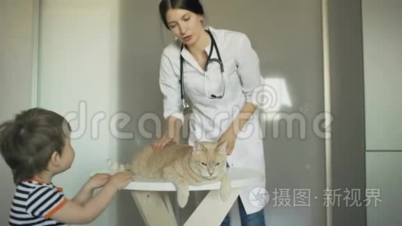 兽医女检查猫与小男孩主人在医疗办公室