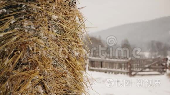 冬天在雪地里的农场干草堆视频