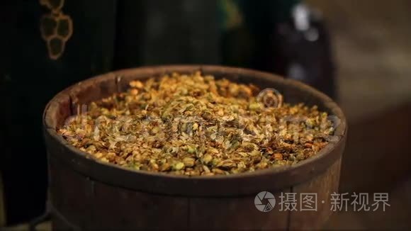 儿童在博物馆里看和摸干啤酒花视频