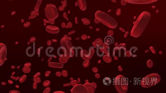 血细胞视频