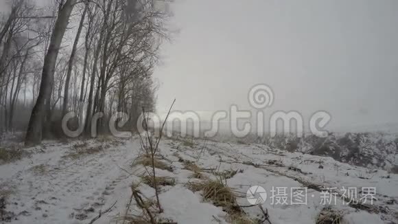 近森林的冬季暴风雪