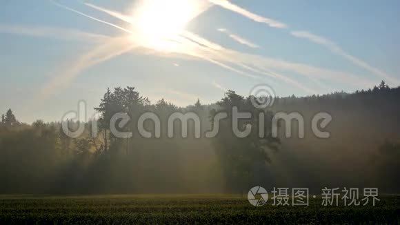 太阳和雾中的空气蒸气视频