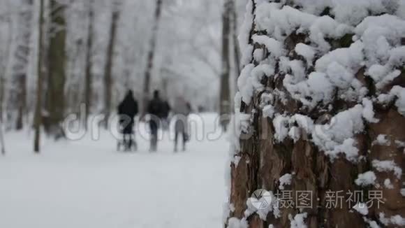 冬天公园里有白雪覆盖的树木，一家人带着孩子在公园里散步。