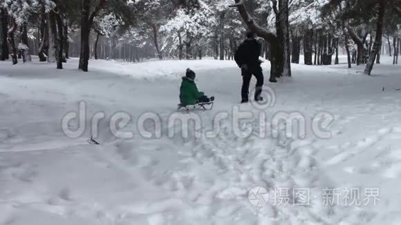 爷爷把他的小孙子在雪冬林的雪橇上