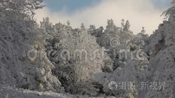 冰雪景观视频