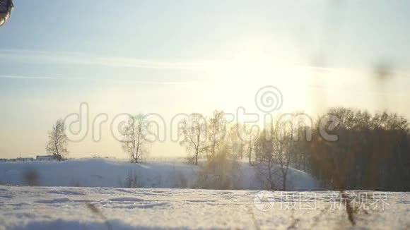 女孩在冬季公园里滑雪，年轻的女人在山上背着雪橇在阳光下缓慢地运动