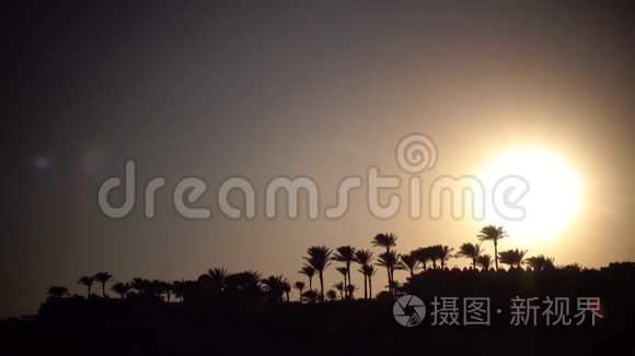 海边的日落和棕榈树视频
