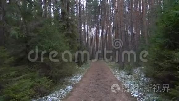 在森林中射杀冰冻的肮脏通道视频