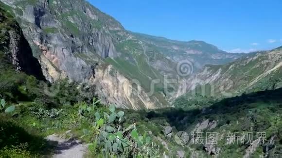 靠近阿雷基帕的科卡峡谷秘鲁视频