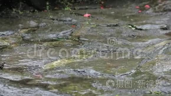 在公园里下雨视频