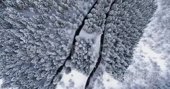 头顶鸟瞰簪弯转弯路中山雪覆冬林.. 白色松树树林。 白雪公主