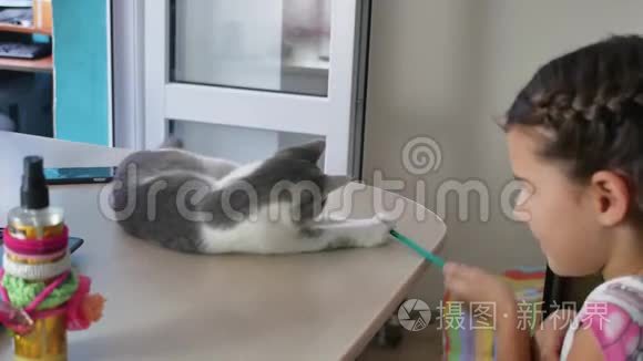 和猫玩的女孩。小猫躺在桌子上和女孩在室内玩耍