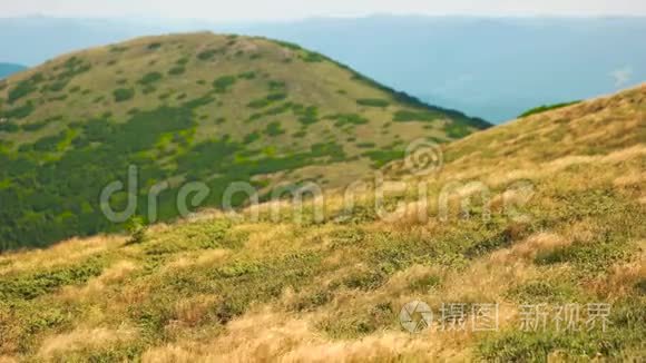 喀尔巴阡山脉的草山。