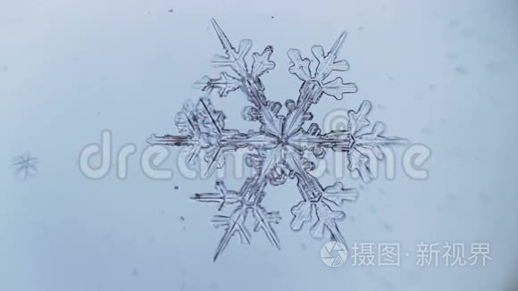 雪花在浅蓝色背景下慢慢融化在玻璃上