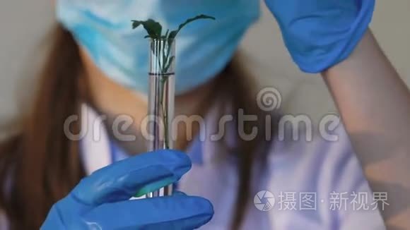 女科学家分析试管中的植物视频