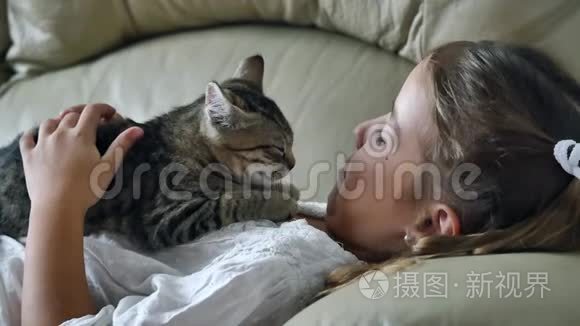 沙发上有猫的可爱小女孩