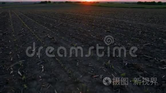 广阔的田野和美丽的日落视频