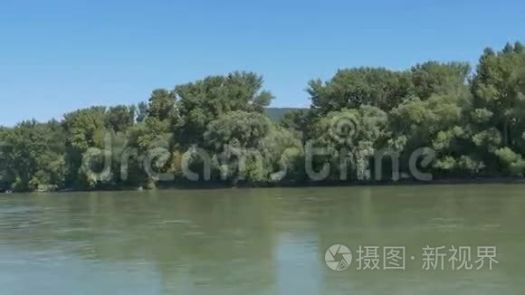 斯洛伐克多瑙河沿岸森林视频