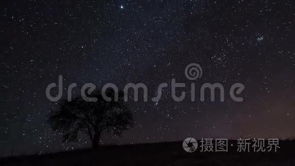 随着银河在老树的轮廓上移动，星星的时间流逝