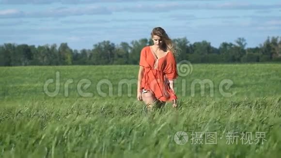 一个美丽的金发年轻浪漫女子穿着红色衬衫，慢慢地在草地上抚摸着她的完整的肖像。