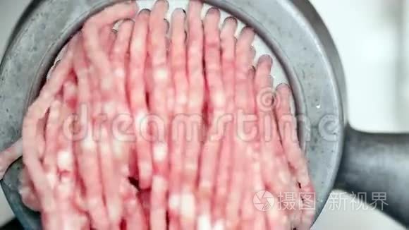 用绞肉机烹调肉肉视频