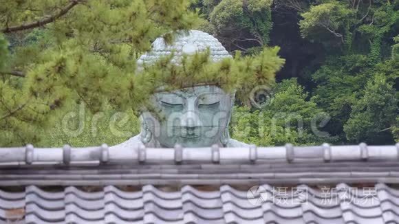 镰仓大佛著名寺庙入口视频