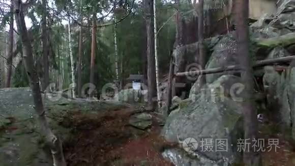 喀尔巴阡山森林的灰色块状岩石视频