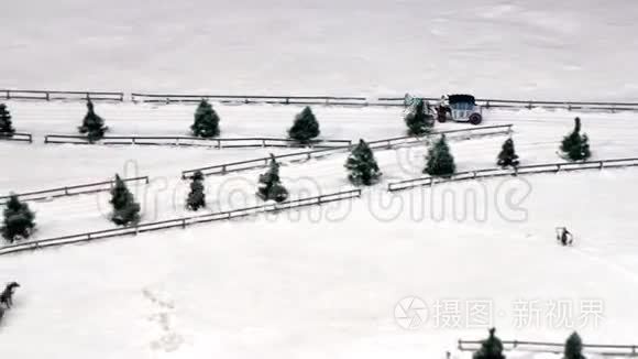 雪道上的马拉雪橇视频