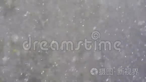 大雪纷纷扬扬视频