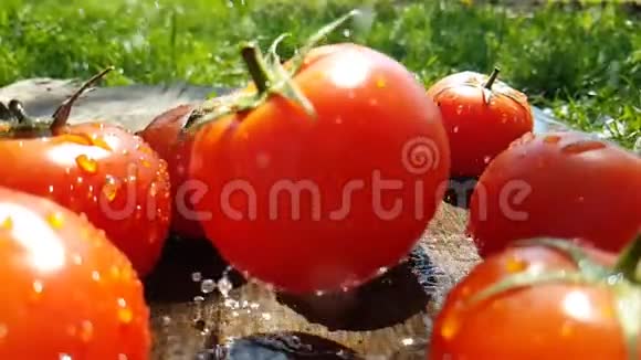 西红柿落下滴水慢洗视频的预览图