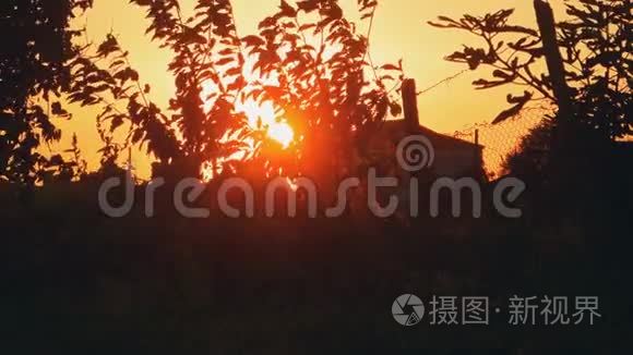 夕阳下的乡村景观视频