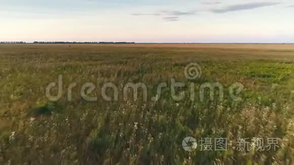 在田野上欣赏日落美景视频