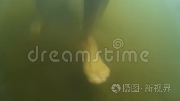 一个人在河边的水下脚步声视频