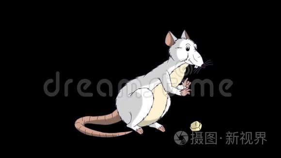 白鼠坐着吃奶酪动画阿尔法马特视频