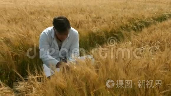 食品科学家检查庄稼视频