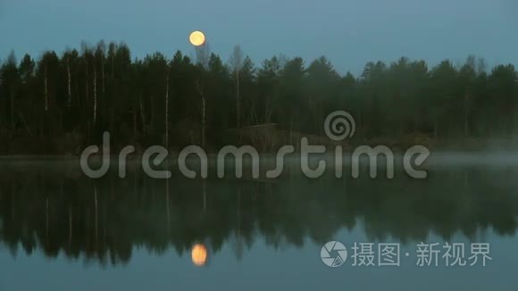 清晨的薄雾笼罩着河流视频