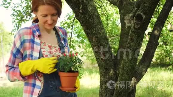 女人用手在花盆里种花视频