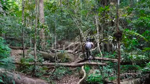 成年摄影师穿过美丽的丛林视频