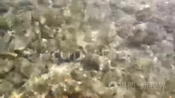 李尔海水底部有鹅卵石视频