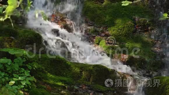 夏日森林中的史诗般的瀑布。 山溪自然背景