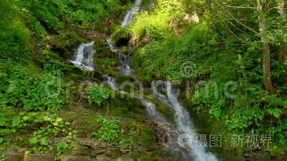 夏日森林中的史诗般的瀑布。 山溪自然背景