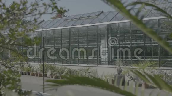 大温室，有玻璃墙，基础，山墙屋顶，花园床。视频的预览图