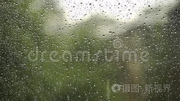 夏天窗户上的雨滴视频